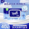 f『得宝Tempo』纯水湿厕纸40片/包 净享清爽洁净/ 厕用湿巾 商品缩略图0