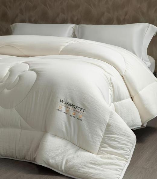 6F堂皇     绵芙大豆纤维春秋被-白色200x230cm胎重1100g 商品图2