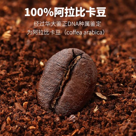 【春日踏青赠咖啡】万因趣享版-轻量级基因探索 商品图9