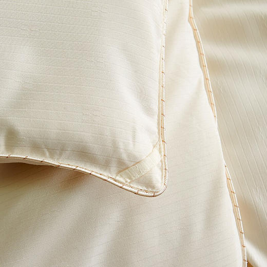 LHX8419蚕丝被 商品图5