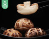 湖北随州天白小花菇-干货（一口菇）/1包（约200g）生产日期：26年4月 商品缩略图4