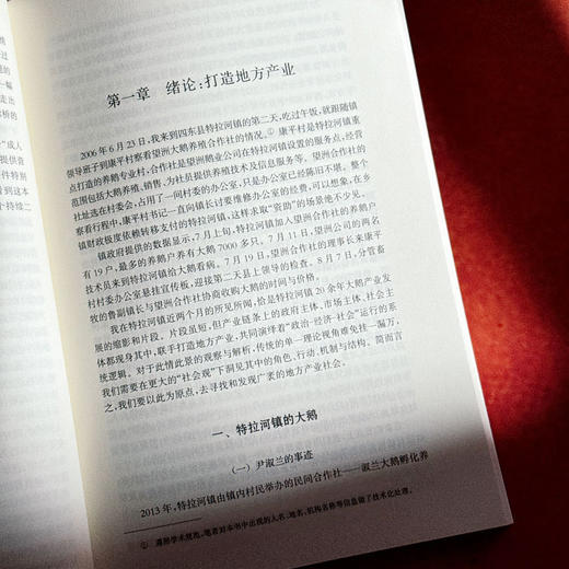 借势而为 基层政府与地方产业 冯猛 四东县 田野调查 商品图7