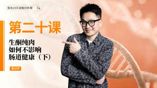 第20天：生酮纯肉，如何不影响肠道健康（下） 商品图0