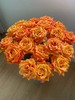 橙色单头玫瑰20枝 商品缩略图1