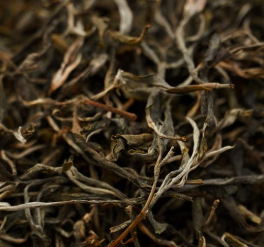 【产地溯源】2026曼松王子山 | 甜润细腻 小叶种混采/醇厚饱满 大叶种混采/古树挑采7g/50g/200g 普洱生茶 商品图1