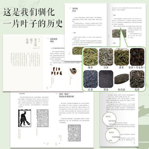 一叶知匠心：国韵·cha（福叶长青礼盒） 商品图5