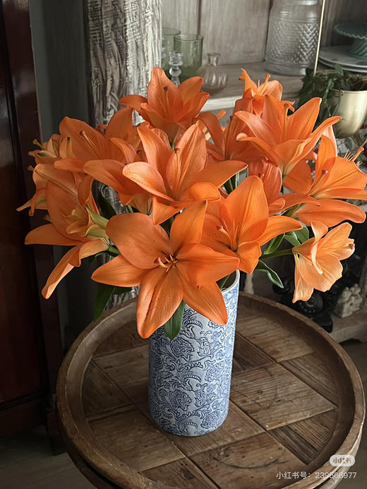 【2026.4.3】特价：4枝多头A级橙色梦想25.9（现货 下单即可到店自提） 商品图1