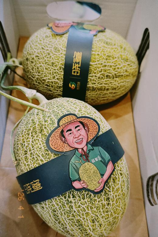 「全年可售」一藤一瓜·青露蜜瓜｜蜜蜂授粉（17°甜·包脆）txa 商品图0