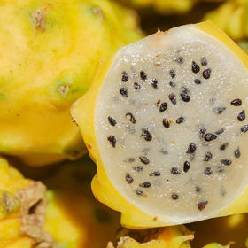 海南黄金燕窝果 黄皮火龙果 京东发货