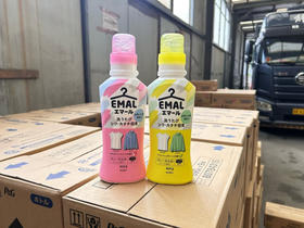 【羊毛羊绒衣物好帮手】新包装！日本花王羊毛真丝专用衣物防缩护色洗衣液 真丝洗涤  460ml