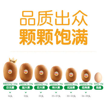 佳沛（zespri）新西兰 新果季 阳光金奇异果10粒巨大果单果146-175g 猕猴桃 商品图6
