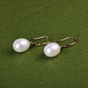 【优雅】简约珍珠耳钩-ZZ12602002 商品缩略图1