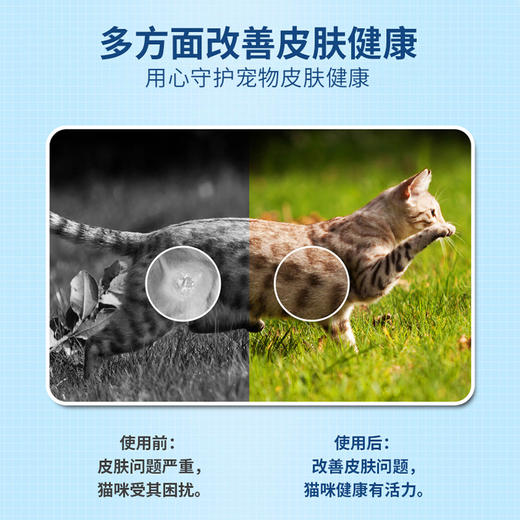 澳龙澳真舒复方酮康唑软膏犬狗猫通用真菌厌氧菌感染改善皮肤健康 商品图4