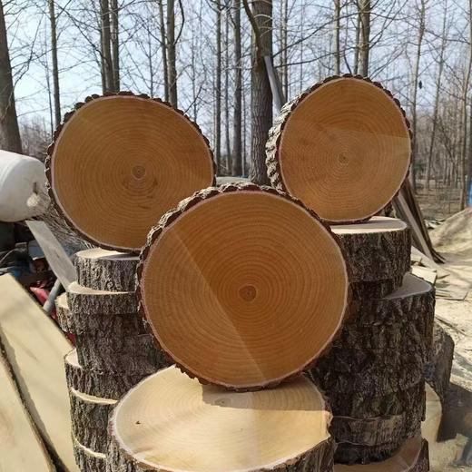 “舌尖3推荐”江苏泰兴银杏木菜板 整木原切 原切带皮/原切去皮正圆款 商品图4