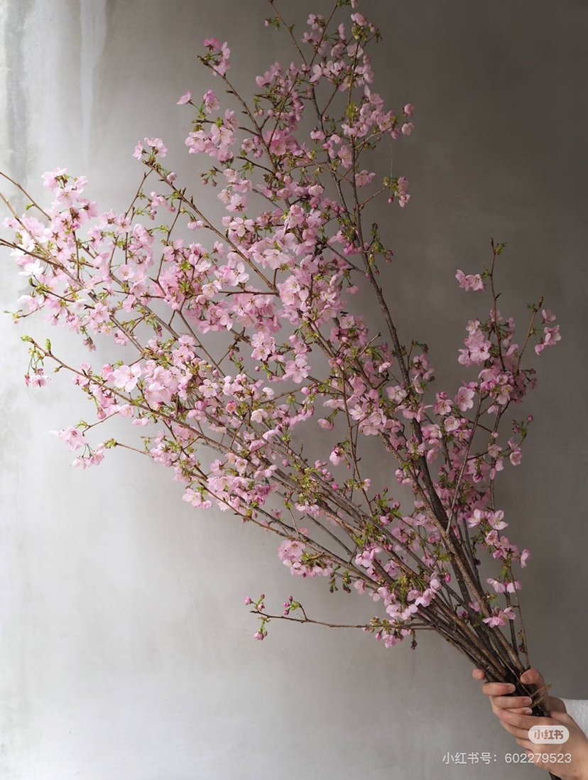 国产花材-【樱花】浅粉色