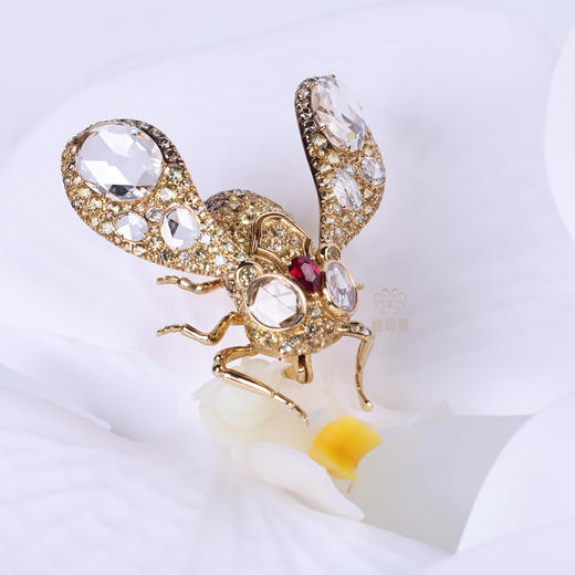 【携光而行】黄宝石飞蛾胸针金G2603110 商品图5