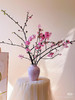 【春季限定】重瓣樱花 粉色  约 3-5 枝/扎 商品缩略图0