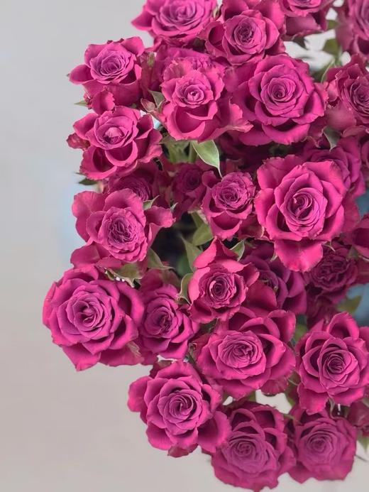 紫色多头玫瑰10枝 商品图3