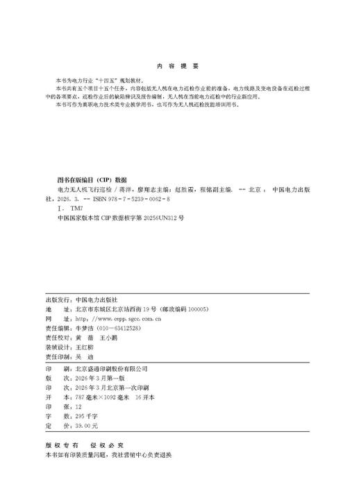 电力无人机飞行巡检 商品图3