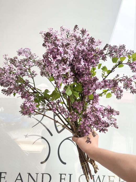 国产花材-【丁香花】紫色 商品图0