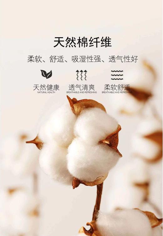 巨显白火龙果双面棉极简短袖T恤 商品图10