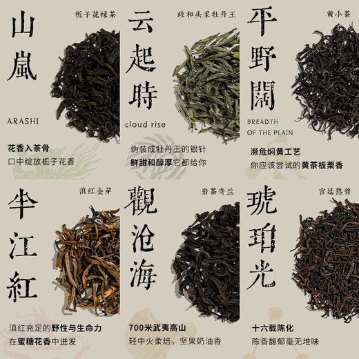 【余额100%全返】6口味小赏 ｜六大茶类组合 |4g*6包/盒 商品图2
