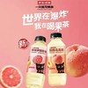 伊刻活泉果味茶饮料双柚茉莉花茶/双桃乌龙茶 500ml/瓶 商品缩略图2