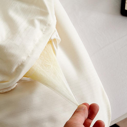 LHX8419蚕丝被 商品图4