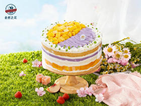 【鲜芋芒芒】当芋泥遇见芒果，新鲜现做