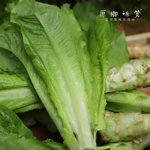 生态青皮莴笋（农场直发-顺丰包邮） | 4斤装，成都郫都区基地，【原乡农场，自产自销】 商品图2