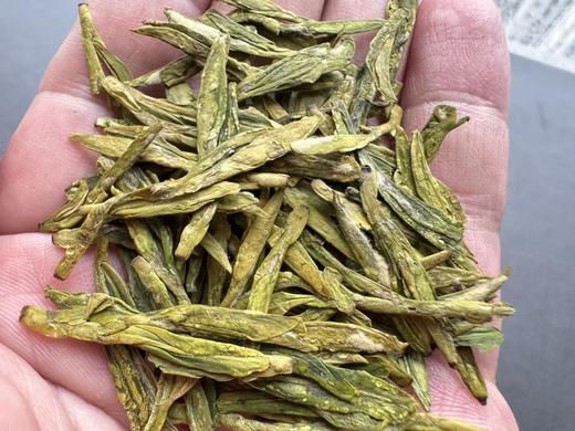 2026春 翁家山·老龙井  群体种头采  125克起 商品图6