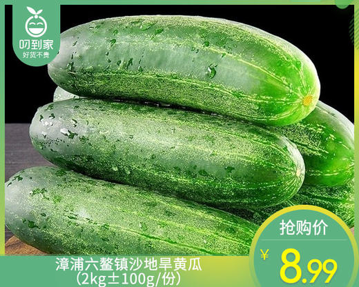 漳州龙海本地旱黄瓜（2kg±100g/份） 商品图0