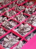 露思同款，品质很好，缎面大肠发圈带礼盒  26Y04018- 商品缩略图10