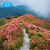 第四届贵州花季徒步节｜五一特别版 寻找贵州山野里的映山红花海 5日 商品缩略图1