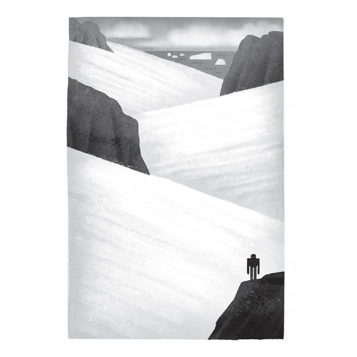 “荒岛机器人”系列（全3册） 商品图5