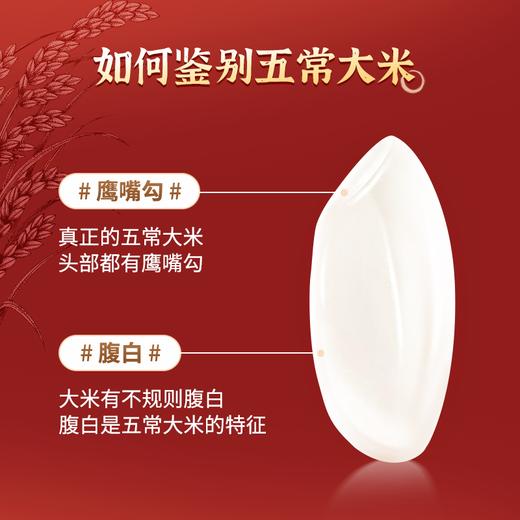 【补贴49.9元10斤】东铁村·五常米·有机认证 香糯弹润 商品图4