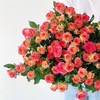 红色多头玫瑰10枝 商品缩略图1