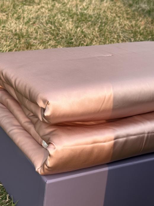 代字行  | 琉璃蚕丝奢感夏被55%桑蚕丝填充凉感蚕丝被200*230 商品图2