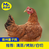 【顺丰京东包邮】69.9秒杀买2送1，无抗童子鸡 林下散养 发酵谷饲原种土鸡慢养 肉质紧实 鲜嫩多汁 顺丰/京东随机基地直邮 商品缩略图3