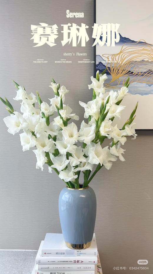 【2026.4.3】特价：5枝A级白色剑兰赛琳娜15.9（现货 下单即可到店自提） 商品图1