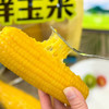 【超值傻小胖/垦山大叔系列有机玉米】常温存放。来自内蒙古/黑龙江大草原的甜糯玉米，昼夜温差造就了口感纯净天空下，孕育出的玉米中的香，甜，糯。每一粒都能代表它的品质 商品缩略图11