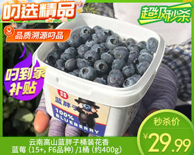 云南高山蓝胖子桶装蓝莓（15+，F6品种）/1桶（约400g）
