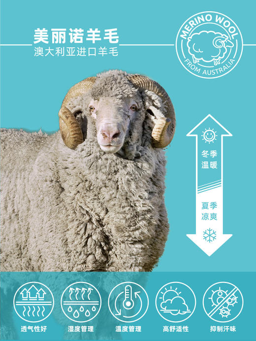 赛乐ZEALWOOD羊毛天丝印花T恤长袖短袖男女款春夏T恤干爽透气 商品图3