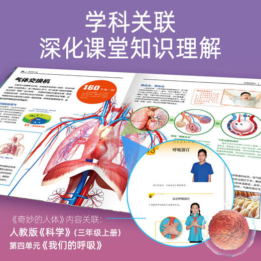 人体与人脑·儿童百科全书·中百趣味科普医学解剖学小学生初中生 商品图3