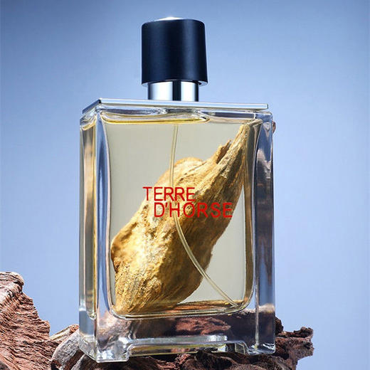 【礼盒礼袋】Hermes爱马仕大地香水男士经典木质香调持久淡香水100ML，经典木质香调融合自然气息，带来沉稳优雅的男士魅力。 商品图5