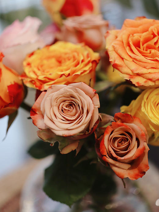 【春日福利鲜花  9.9元10支 4束包邮】72h内发货 把春天和好心情都带回家~ 商品图2