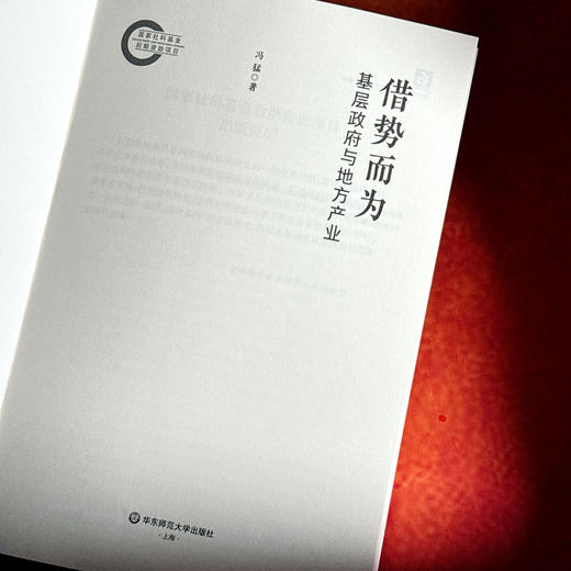 借势而为 基层政府与地方产业 冯猛 四东县 田野调查 商品图5