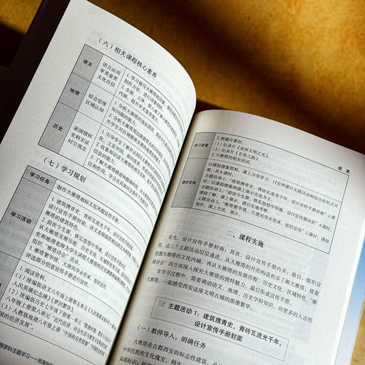 “语文+X”跨学科主题学习 用课例告诉你 大夏书系 语文之道 商品图12