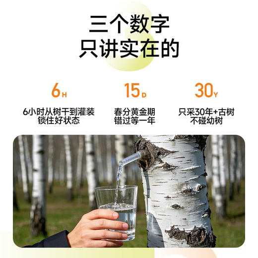 【超值4箱装】原始坐标 北纬47°天然采集 小兴安岭白桦树汁 单树单孔采集三年轮采 320ml*6瓶*4箱 商品图4