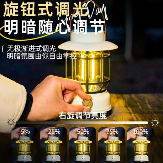 【超长续航！抗造材质】露营户外照明灯照明马灯超长续航复古野营可充电营地氛围帐篷挂式.xb 商品图2